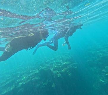 石垣島 ADVENTURE PiPi（イシガキジマアドベンチャーピピ）に投稿された画像（2023/9/19）