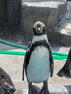 東武動物公園に投稿された画像（2023/9/19）