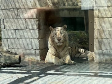 東武動物公園に投稿された画像（2023/9/19）