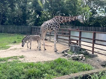 東武動物公園に投稿された画像（2023/9/19）