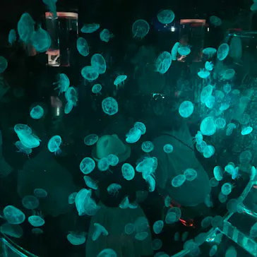 マクセル アクアパーク品川に投稿された画像（2023/9/19）