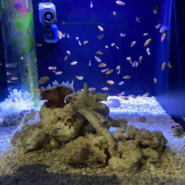 マクセル アクアパーク品川に投稿された画像（2023/9/19）