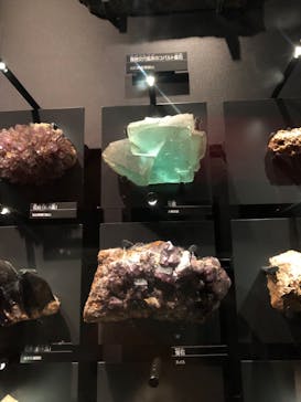 国立科学博物館に投稿された画像（2023/9/19）