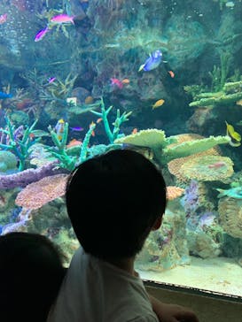 サンシャイン水族館に投稿された画像（2023/9/19）