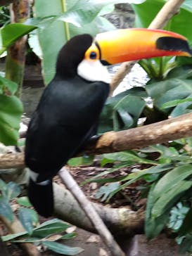 那須どうぶつ王国に投稿された画像（2023/9/19）