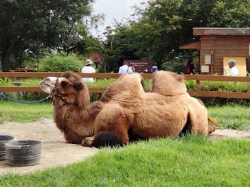 那須どうぶつ王国に投稿された画像（2023/9/19）