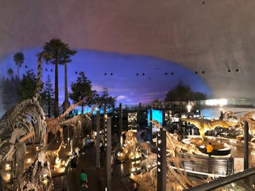 福井県立恐竜博物館に投稿された画像（2023/9/19）