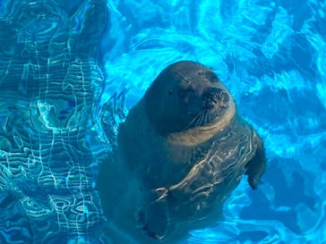 鴨川シーワールドに投稿された画像（2023/9/19）