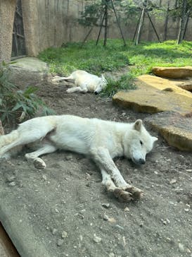 那須どうぶつ王国に投稿された画像（2023/9/19）