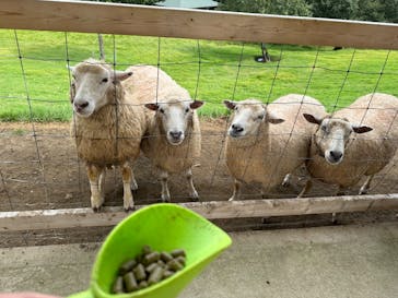 那須どうぶつ王国に投稿された画像（2023/9/19）