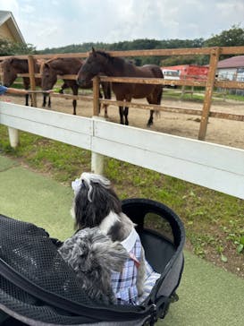 那須どうぶつ王国に投稿された画像（2023/9/19）