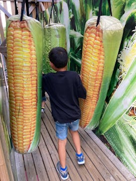 鈴鹿サーキットに投稿された画像（2023/9/19）