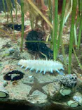名古屋港水族館に投稿された画像（2023/9/19）