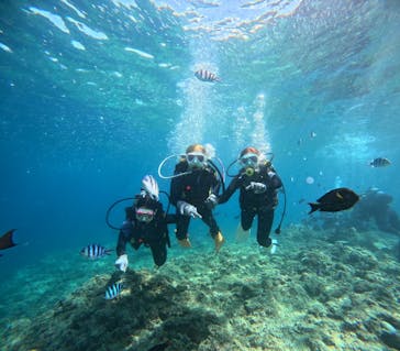 沖縄マリンサービス碧に投稿された画像（2023/9/19）