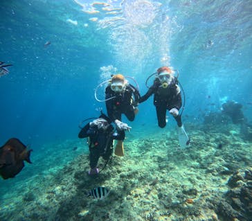 沖縄マリンサービス碧に投稿された画像（2023/9/19）