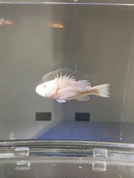 名古屋港水族館に投稿された画像（2023/9/19）