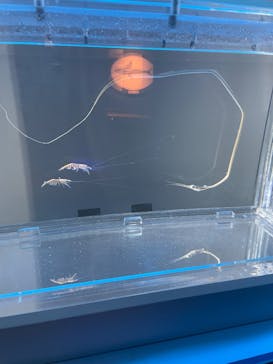 名古屋港水族館に投稿された画像（2023/9/19）