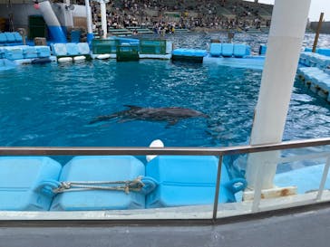名古屋港水族館に投稿された画像（2023/9/19）