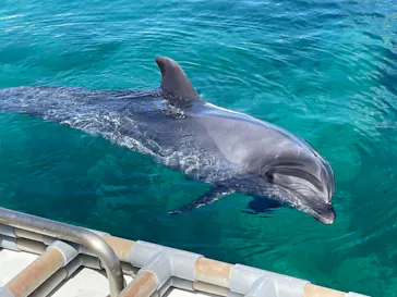 横浜・八景島シーパラダイスに投稿された画像（2023/9/19）