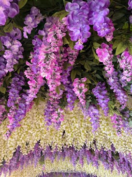 東京サマーランドに投稿された画像（2023/9/19）