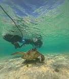 宮古島マリン SUGAR3（シュガースリー）に投稿された画像（2023/9/19）