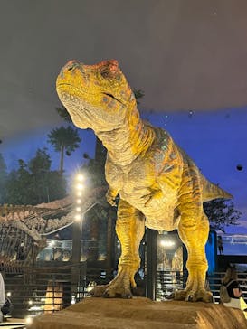 福井県立恐竜博物館に投稿された画像（2023/9/19）