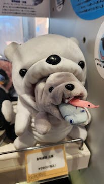 新江ノ島水族館に投稿された画像（2023/9/19）