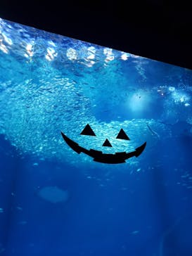 アクアワールド茨城県大洗水族館に投稿された画像（2023/9/19）