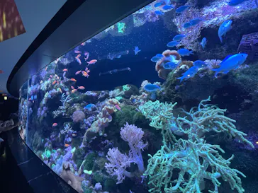 マクセル アクアパーク品川に投稿された画像（2023/9/19）