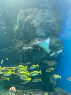 マクセル アクアパーク品川に投稿された画像（2023/9/19）