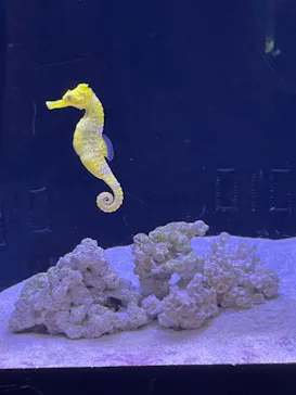 マクセル アクアパーク品川に投稿された画像（2023/9/19）