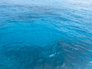 M.a.r.i.n.e Factoryに投稿された画像（2023/9/19）