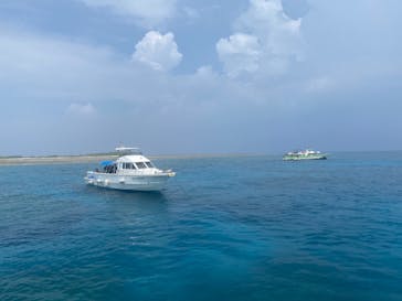 M.a.r.i.n.e Factoryに投稿された画像（2023/9/19）