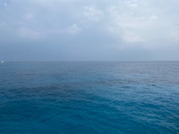 M.a.r.i.n.e Factoryに投稿された画像（2023/9/19）