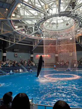 マクセル アクアパーク品川に投稿された画像（2023/9/19）