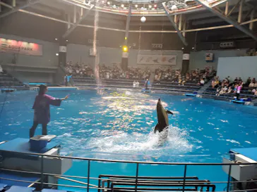 マクセル アクアパーク品川に投稿された画像（2023/9/19）