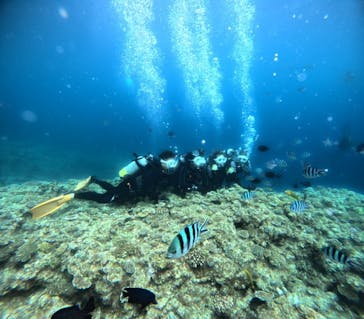 青の洞窟専門店　沖縄ダイビングショップ和に投稿された画像（2023/9/19）