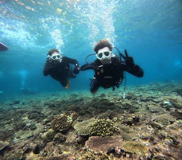 青の洞窟専門店　沖縄ダイビングショップ和に投稿された画像（2023/9/19）