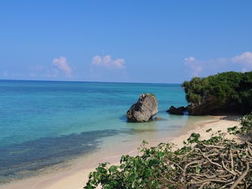 沖縄美ら海水族館に投稿された画像（2023/9/19）