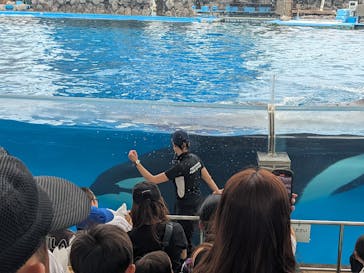 名古屋港水族館に投稿された画像（2023/9/19）