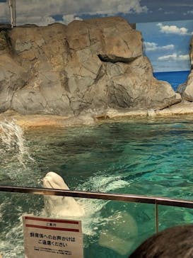 名古屋港水族館に投稿された画像（2023/9/19）