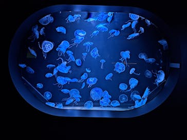 AOAO SAPPOROに投稿された画像（2023/9/19）