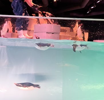 AOAO SAPPOROに投稿された画像（2023/9/19）