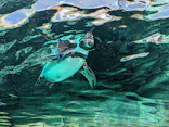 天王寺動物園に投稿された画像（2023/9/19）
