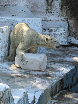 天王寺動物園に投稿された画像（2023/9/19）