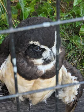 天王寺動物園に投稿された画像（2023/9/19）