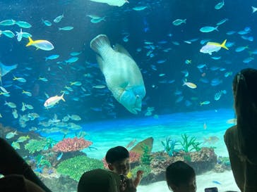 サンシャイン水族館に投稿された画像（2023/9/19）