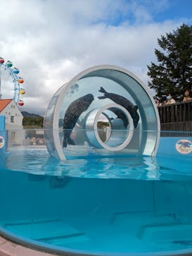 登別マリンパークニクスに投稿された画像（2023/9/19）