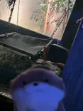 サンシャイン水族館に投稿された画像（2023/9/19）