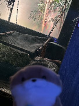 サンシャイン水族館に投稿された画像（2023/9/19）